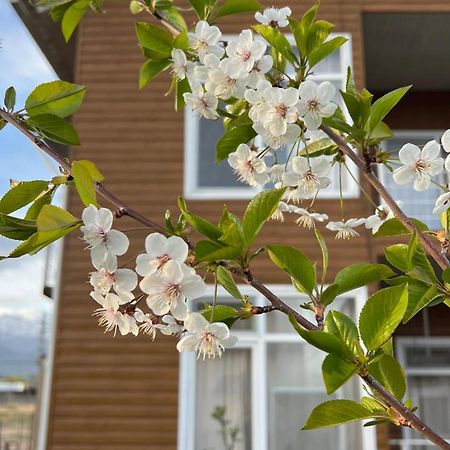 Malina Guest House Bosteri Bagian luar foto