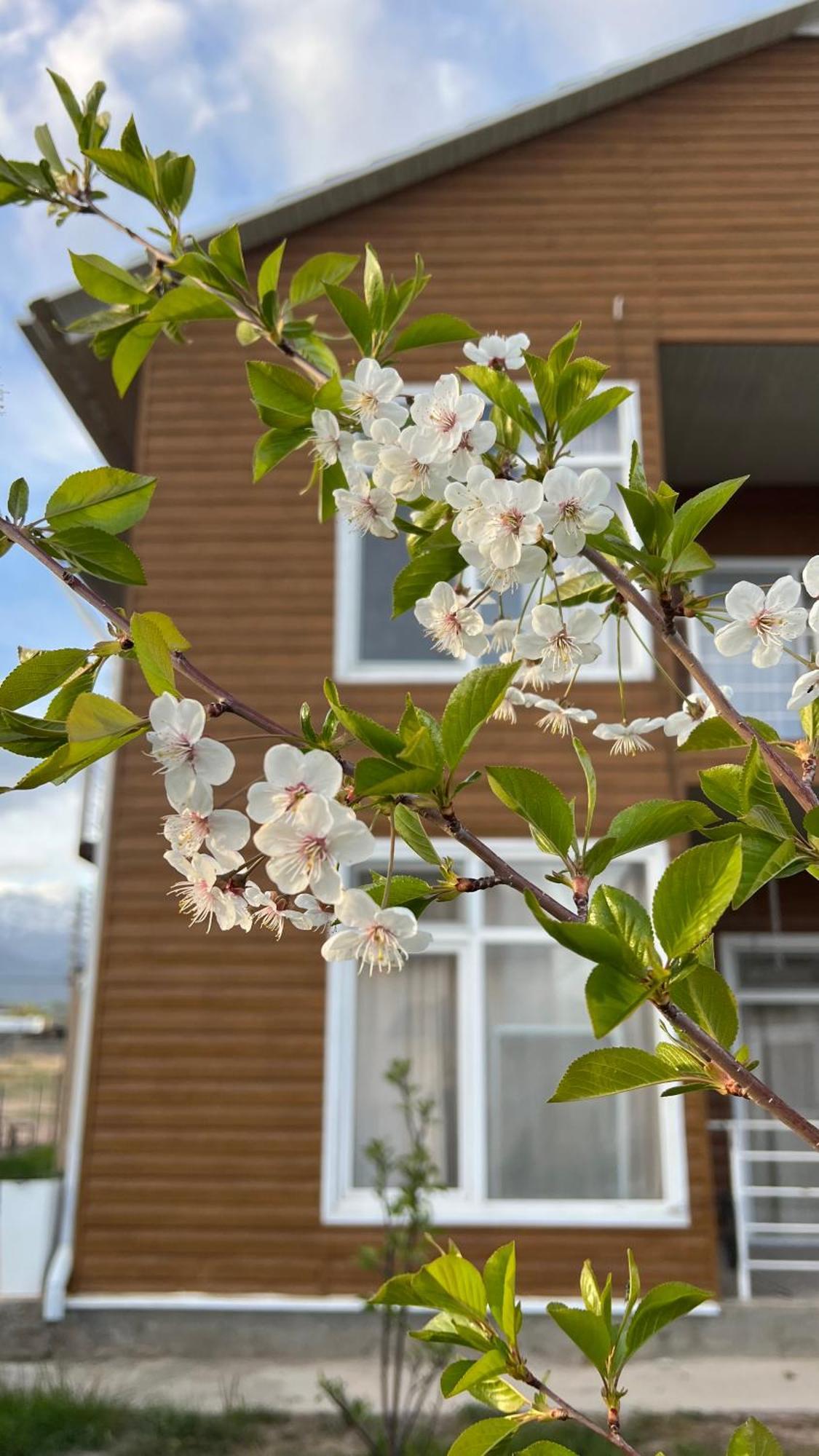 Malina Guest House Bosteri Bagian luar foto